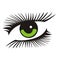 Green eye with long lashes