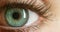 Green eye, macro or vision, eyes or face extreme closeup for sight, awareness or open eyelid. Iris, eyeball eyelash or