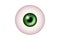 Green Eye Realistic. Vector Illustration Of 3d Human Glossy Photo Realistic Eye shine and Reflection.