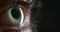 Green eye, vision and macro with eyes, blink or extreme sight closeup, open eyelid and dark mockup background. Eyeball