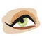 Green eye on a white background. Womans eye. Eye makeup. Graphics. Icon, logo