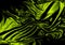 Green fabric backgrounds. Metallic color of shiny textile. Satin folds, waves pattern. Smooth glossy clothes. 3D render