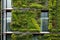 Green facade, vertical garden in architecture. Ecological building. Generative AI