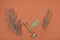 Green face jade roller and gua sha massager with Pampas dry grass over terracotta red background. Copy space.