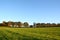 Green farm field edged by fall trees