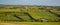 Green farm fields in the south of Ireland on a summer evening. Agricultural Irish landscape. Pastures for livestock, house on