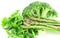 Green farm vegetables, arugula, broccoli, asparagus on white background