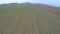 Green farmland, aerial view of long cultivated fields. Agriculture, farming