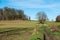 Green farmland, a walking trail and trees over a blue sunny background, Merchtem, Belgium