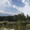 Green farms.Picturesque lawn.Pond, birch trees, clouds, perspective.