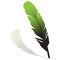 Green feather