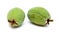 Green feijoa fruit