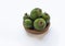 Green feijoa fruits in a cork plate isolated on a white background. Tropical fruit feijoa. Set of ripe feijoa fruits. Copy space