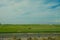 Green feilds and highway mooving cars veiw from side. The road along fields and forests