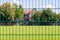 Green Fence and Houses