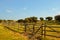 Green fenced fields in a farm. Sunny day.