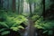 green fern-filled forest with small stream