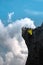 Green fern leaves growing on the top of hard granite volcanic rock with cloudy blue sky in background