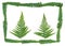 Green Fern leaves look like natural Christmas tree on white background with copy space for your own text. New Zealand symbol
