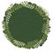 Green fern leaves wreath banner for decoration on nature and organic life style.