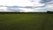 Green field against dense forest in summer bird eye flight