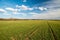 Green field and beautiful clouds divided by flat horizon, Czech republic