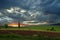 Green field.Beautiful Nature Background.Amazing Colorful Wallpaper.Sunset,sunrise,clouds,blue sky.Panorama,landscape.Meadow,cloud.