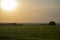 green field and beautiful sunset gentle clouds