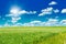 Green field with blooming flowers and blue sky