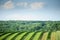 green field and blue sky. Awesome landscape