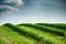 green field and blue sky. Awesome landscape!