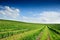 green field and blue sky. Awesome Landscape!