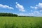 Green field and blue sky with clouds. Countryside