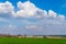 Green field and blue sky with clouds. Rural landscape