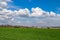 Green field and blue sky with clouds. Rural landscape