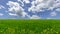 Green field with blue sky and clouds in spring time minimalism landscape ,Environment Infinity Concept