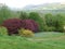 A green field with blue, yellow and  purple shrubs and flowers in the Lake District