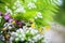 Green field bouquet of fern leaves, many different small white, yellow, purple wildflowers blurred background close up