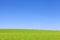 Green field and cloudless blue sky.