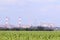 Green field with corn and big Oil Refinery