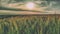 Green field with crops, closeup view spikelets of rye, wheat, barley. Cultivation of agricultural plants in fields. Organic