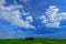 Green field with dark blue sky with white clousds, Tuscany, Italy. Tuscany landscape in summer. Summer green meadow with tree