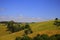 Green field and farm landscape Victoria, Australia