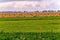 A green field, followed by haymaking with a lot of stacks of yellow, dry hay