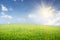 Green field of grass and perfect cloudy sky