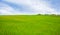 Green Field Grassy Landscape