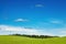 Green field and grazing sheep