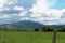 Green Field and Hills Beyond a Barbed Wire Fence