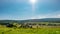 Green field, houses and bright sun.