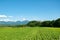 Green field huge farm with mountain and blue sky
